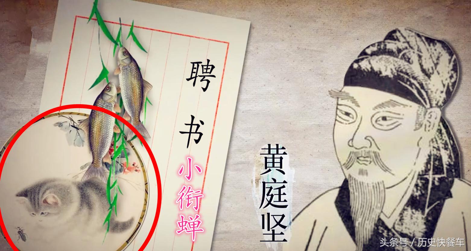 喵星人的变化史,喵星人养猫13年经验分享