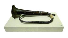 涨知识的号,涨知识各国步枪