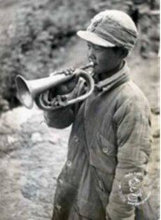 涨知识的号,涨知识各国步枪