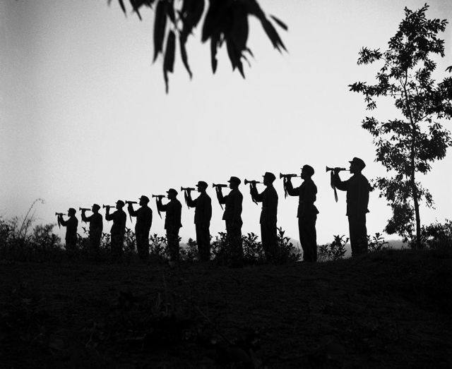 涨知识的号,涨知识各国步枪