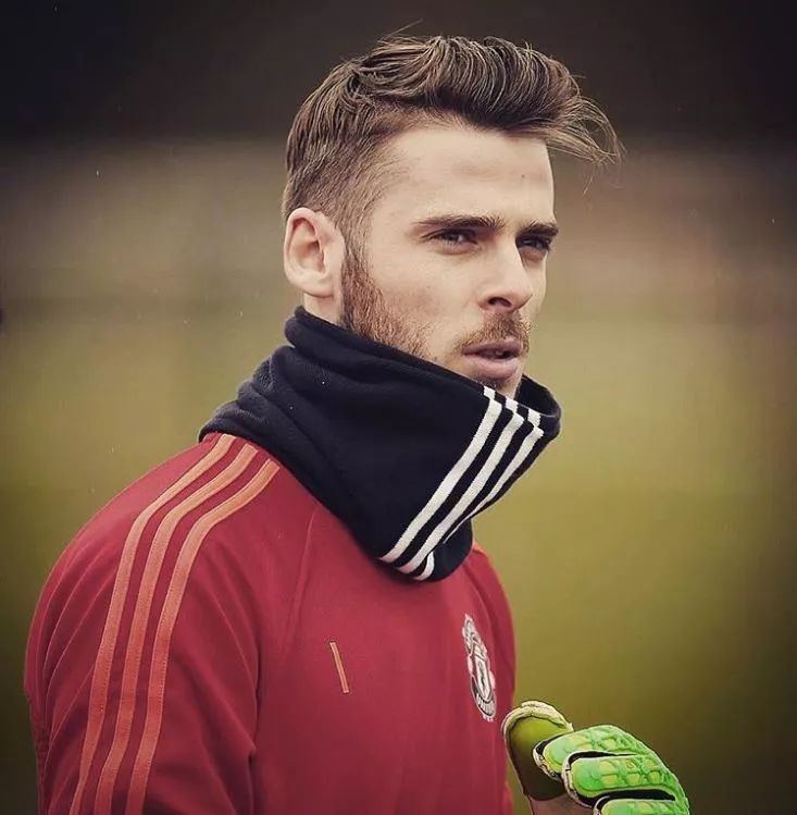 世界杯看球常识大全,第三部世界杯观球指南