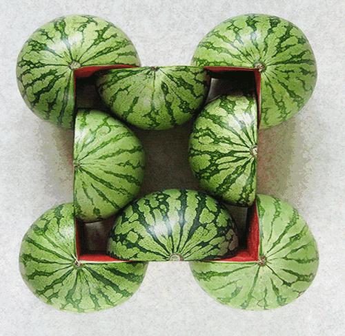 吃西瓜的时候要吐籽吗,吃西瓜不吐籽的好处和坏处