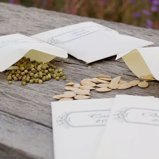 吃西瓜的时候要吐籽吗,吃西瓜不吐籽的好处和坏处