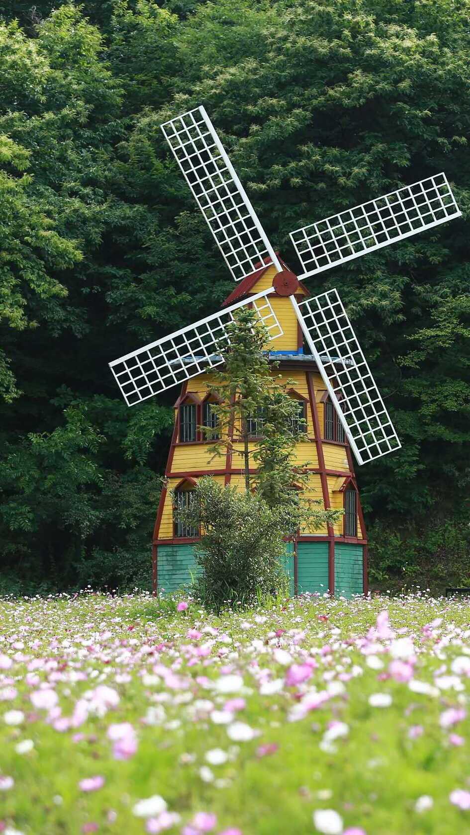 秦岭山夏日游玩,秦岭悠然山旅游攻略