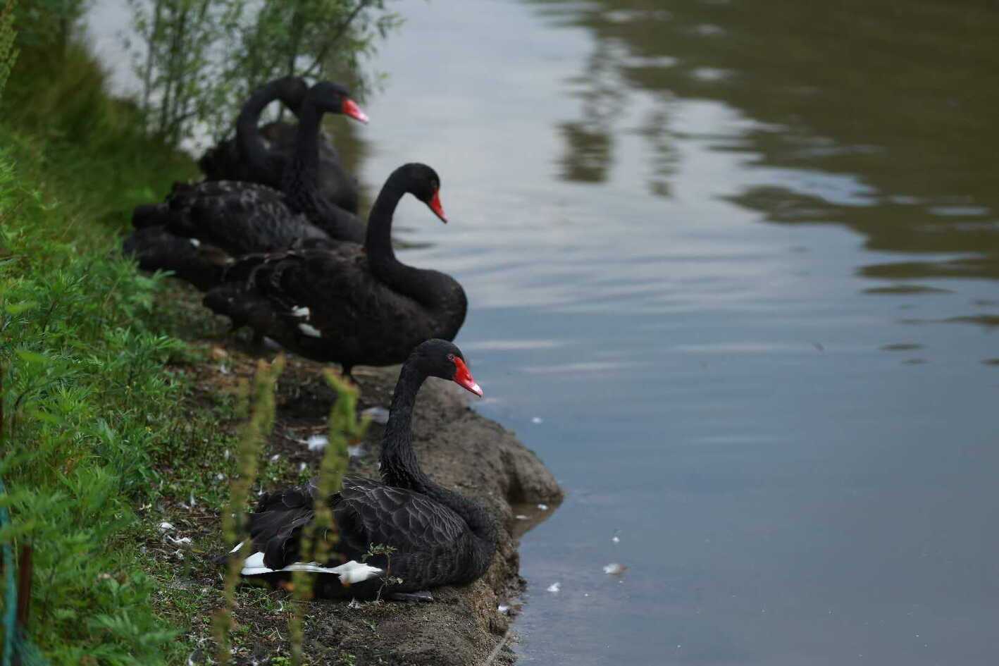 秦岭山夏日游玩,秦岭悠然山旅游攻略