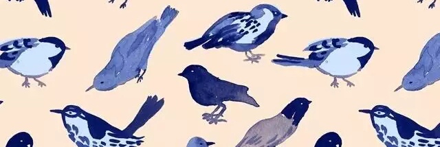 日本薏仁真假测评,日本薏仁米测评