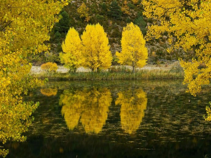 工笔浅绛山水画技法教学,传统文人浅绛山水画教学