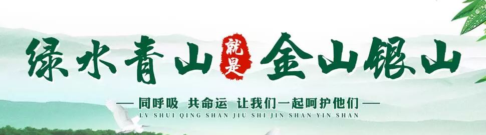 被蚊子咬到眼睛最快消肿止痒妙招,小时候被蚊子咬妈妈用土方法止痒