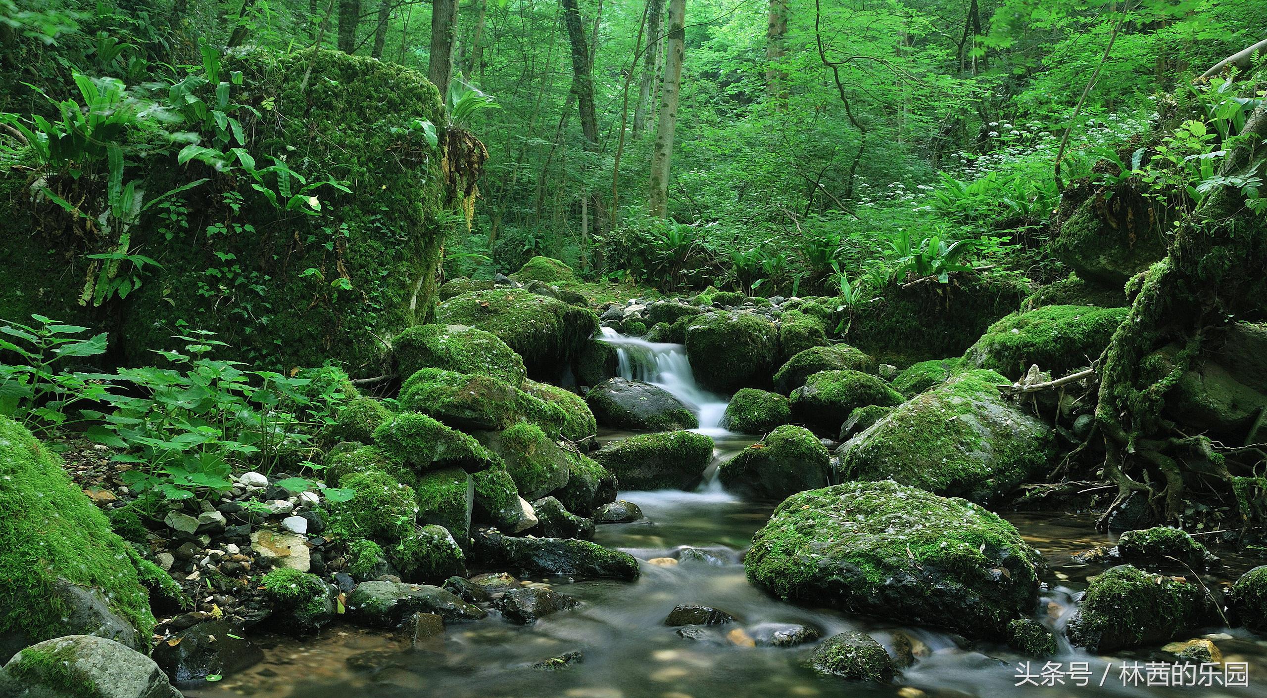 带有水字的诗词句,有水字打头的诗句