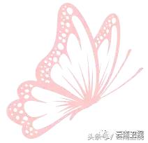 益安宁丸杯合唱在湖北哪个台直播,益安宁杯合唱四川比赛