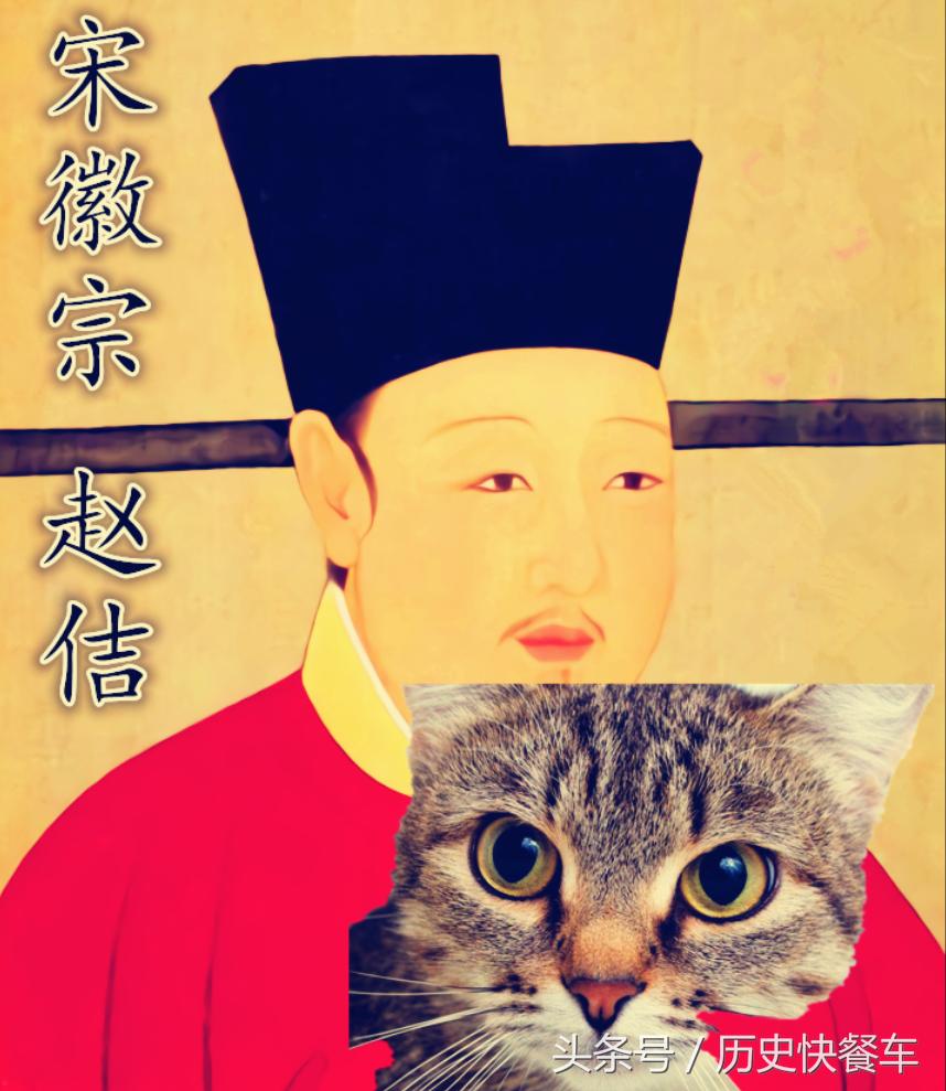 喵星人的变化史,喵星人养猫13年经验分享