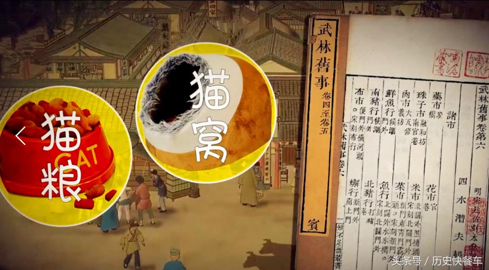 喵星人的变化史,喵星人养猫13年经验分享