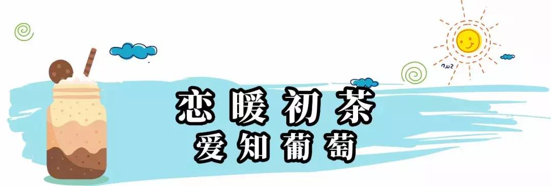 夏日奶盖测评,夏日奶盖饮品