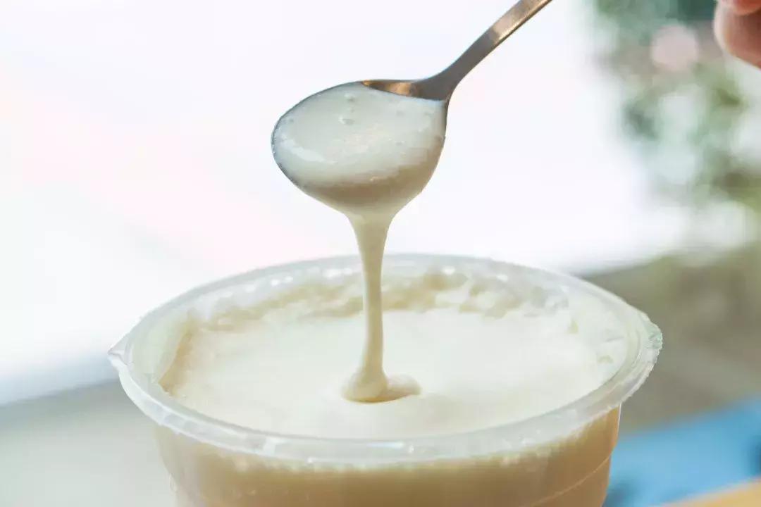 夏日奶盖测评,夏日奶盖饮品