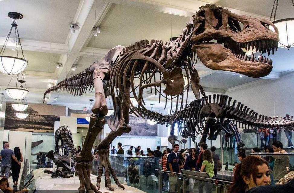 侏罗纪世界霸王龙大战100只剑龙,侏罗纪世界甲龙和雷龙合体