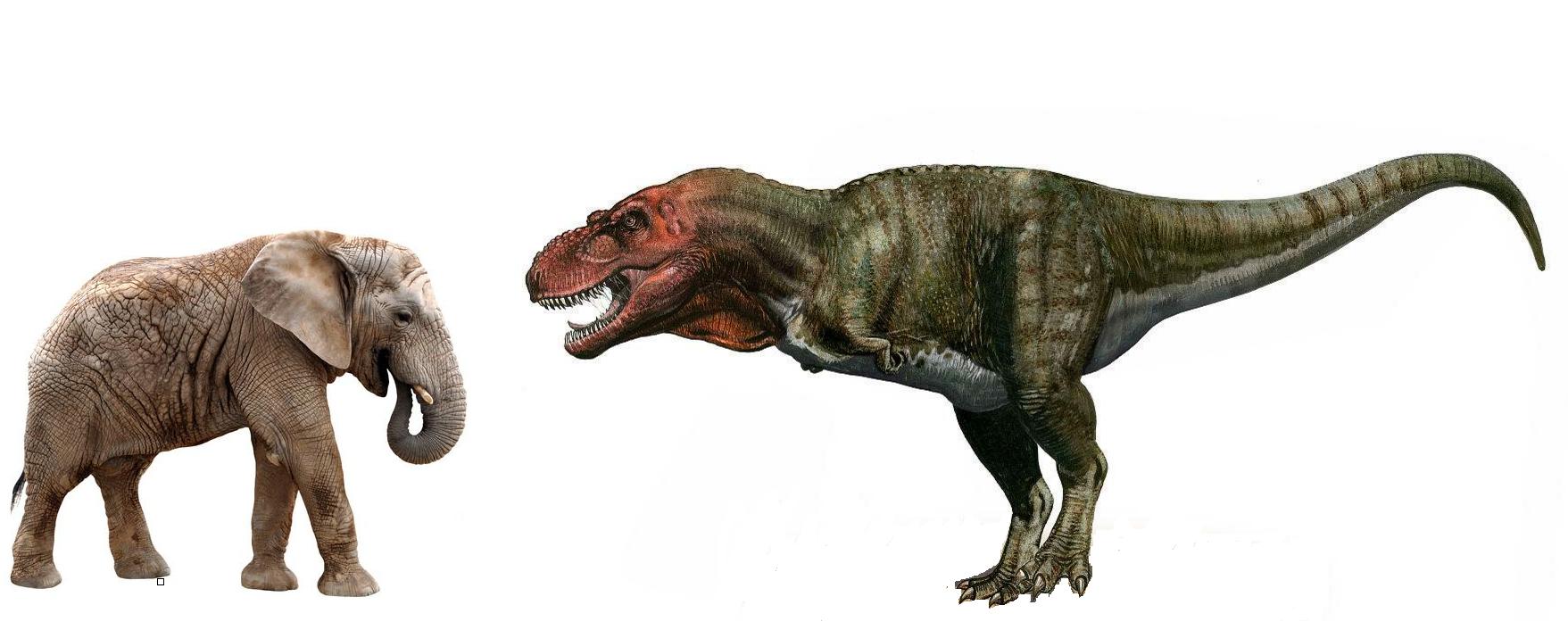 侏罗纪世界霸王龙大战100只剑龙,侏罗纪世界甲龙和雷龙合体