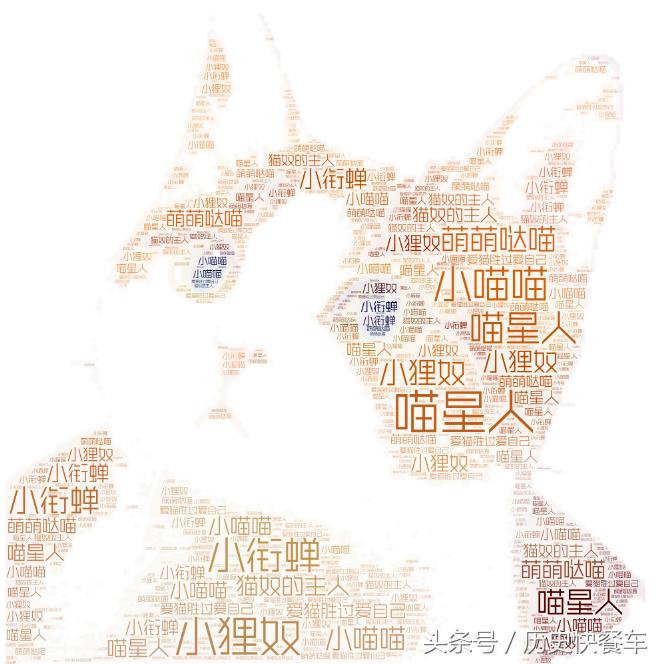 喵星人的变化史,喵星人养猫13年经验分享