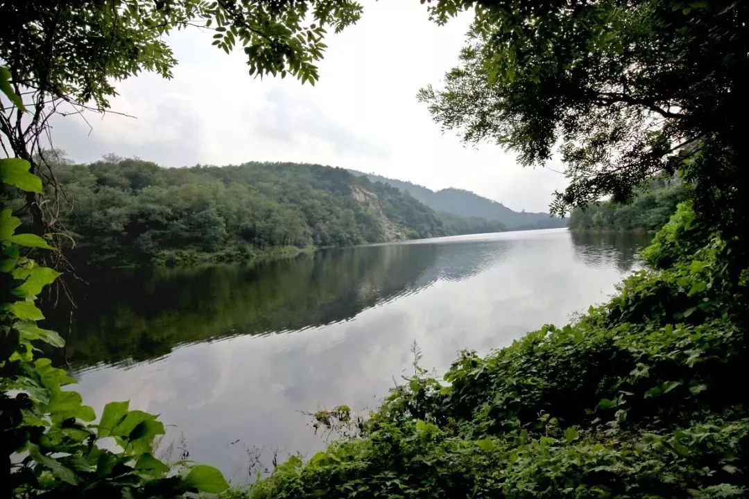 大连自驾游的游记,大连近郊游自驾推荐