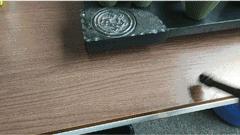 手持小型强力便携吸尘器,德国高档手持便携吸尘器