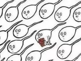 能成功捐精的男人才是真男人！