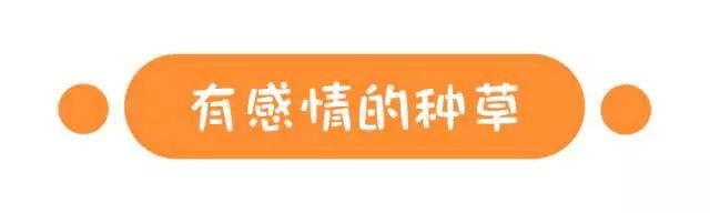 亲测｜代购不要面子的啊？在意大利能买到这些好用的防晒！