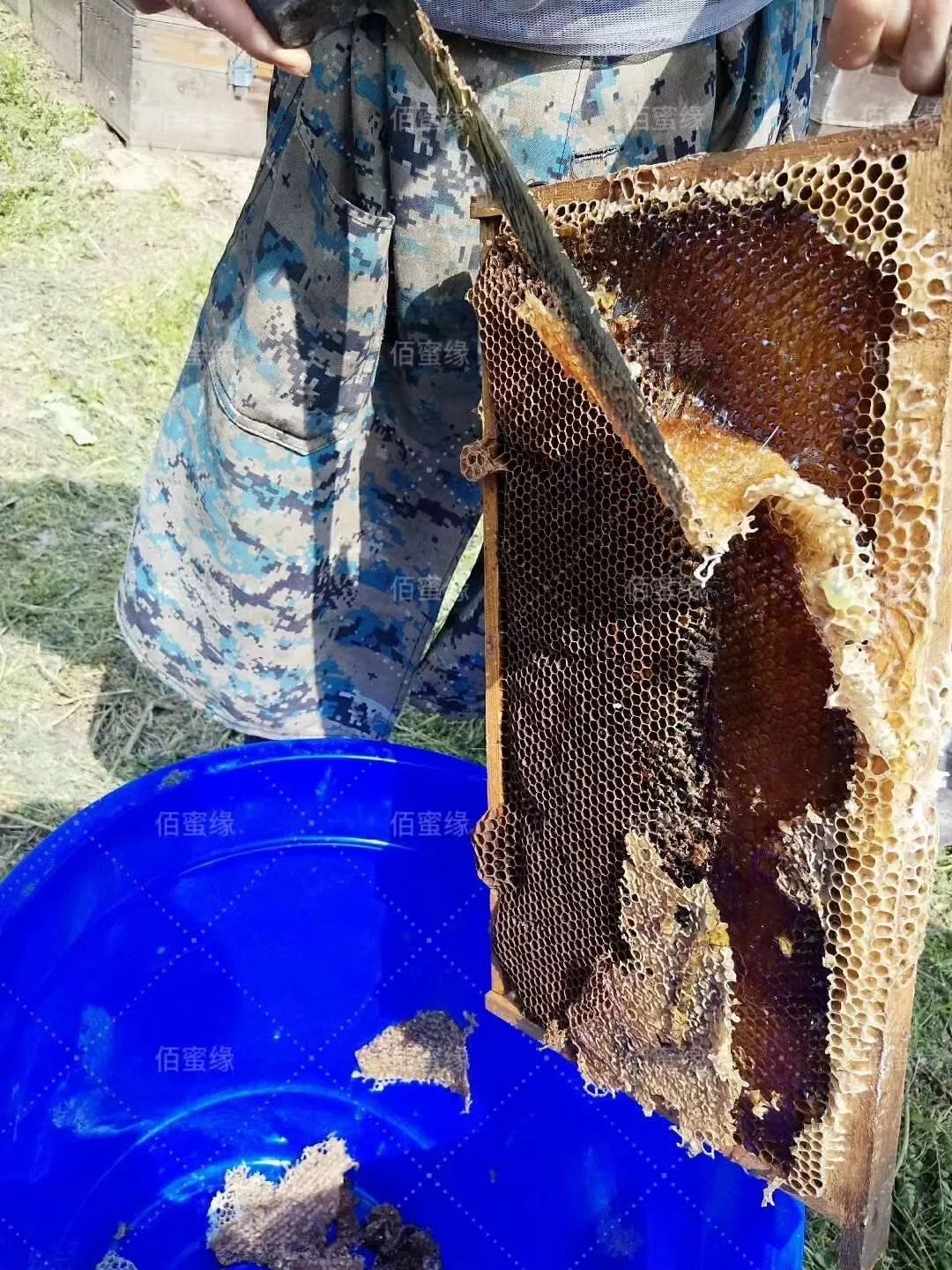 蜂蜜对孩子早熟有影响吗,蜂蜜会导致孩子早熟吗