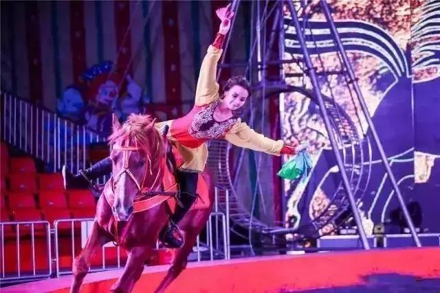 周至县大马戏,俄罗斯传奇大马戏简介