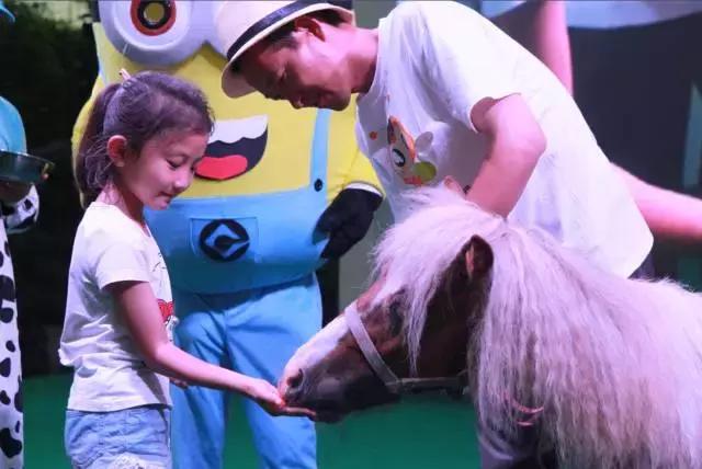 周至县大马戏,俄罗斯传奇大马戏简介