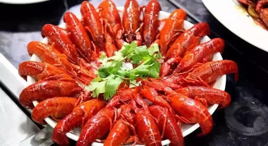 周至县大马戏,俄罗斯传奇大马戏简介