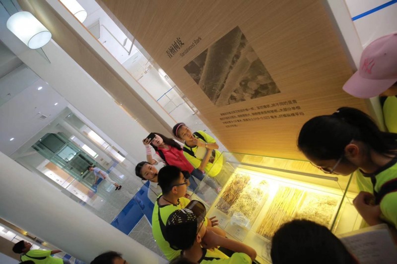 行万里路是为了寻找远方的自己,春风十里只为遇见更好的自己