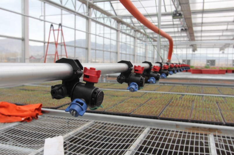 温室蔬菜大棚建设注意事项,温室大棚和普通大棚有什么不一样