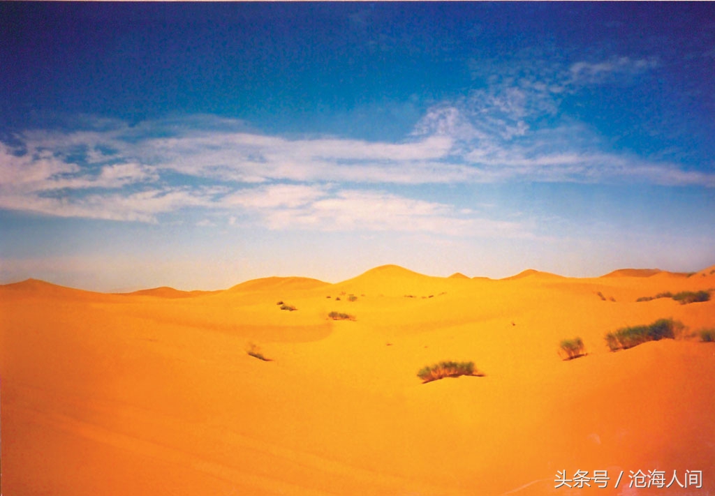 卧虎藏龙背景音乐古典音乐,卧虎藏龙竹林背景音乐