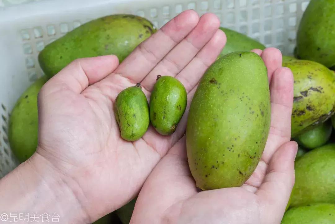 云南滇菜第一人,云南佤菜