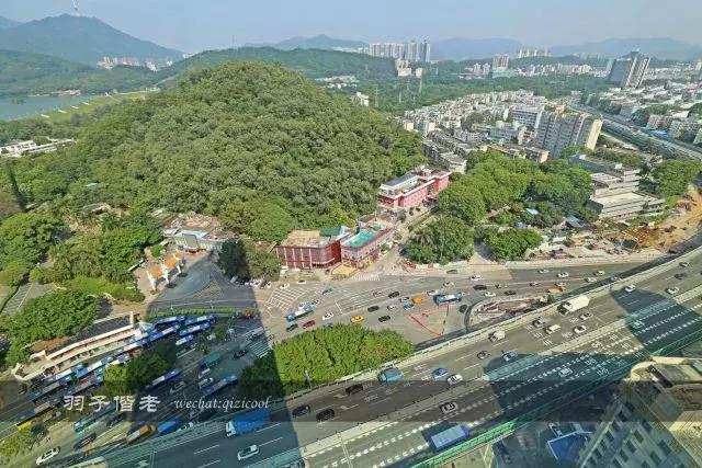 深圳乐酒店,深圳乐住酒店简介