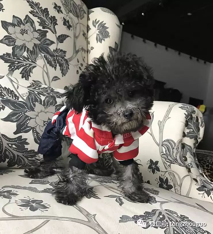 震撼之年!通州*迁拆**、购房、装修的都进来看看,这个信息很有用!