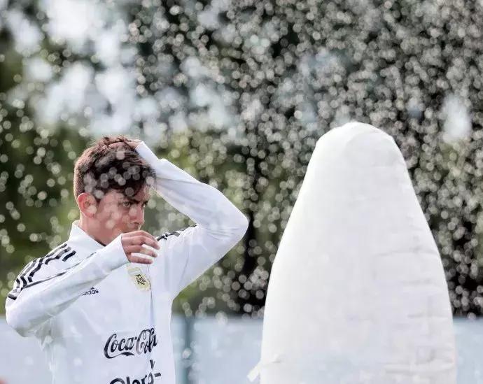 世界杯肉肉的仙人球,世界杯胖嘟嘟