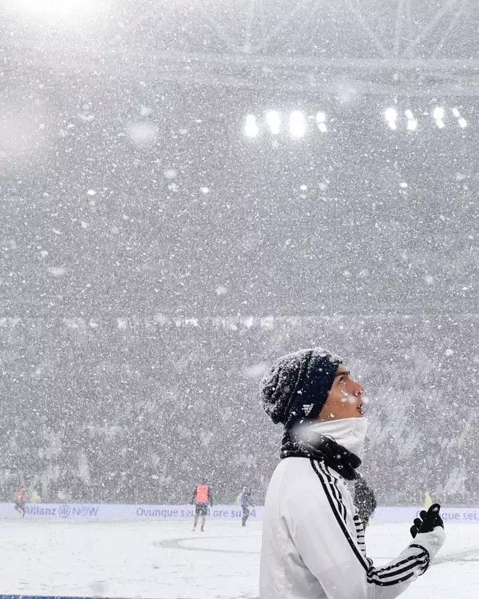 世界杯肉肉的仙人球,世界杯胖嘟嘟