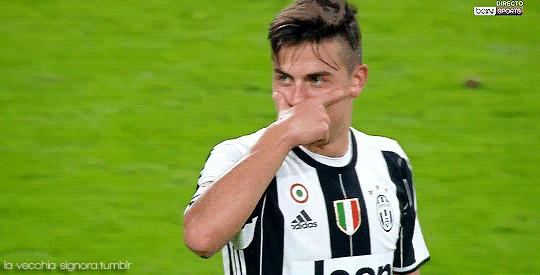 世界杯肉肉的仙人球,世界杯胖嘟嘟