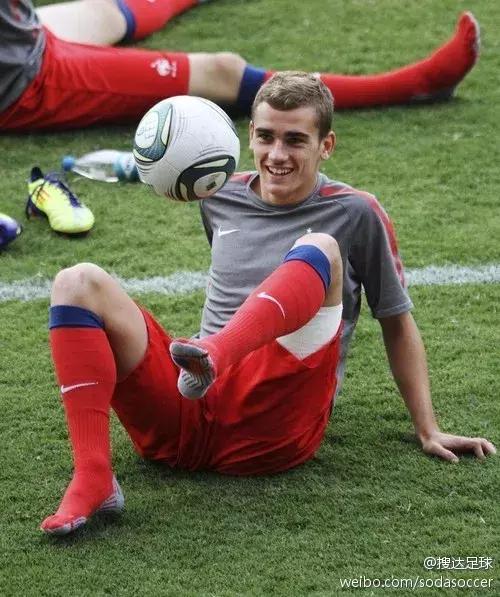 世界杯肉肉的仙人球,世界杯胖嘟嘟