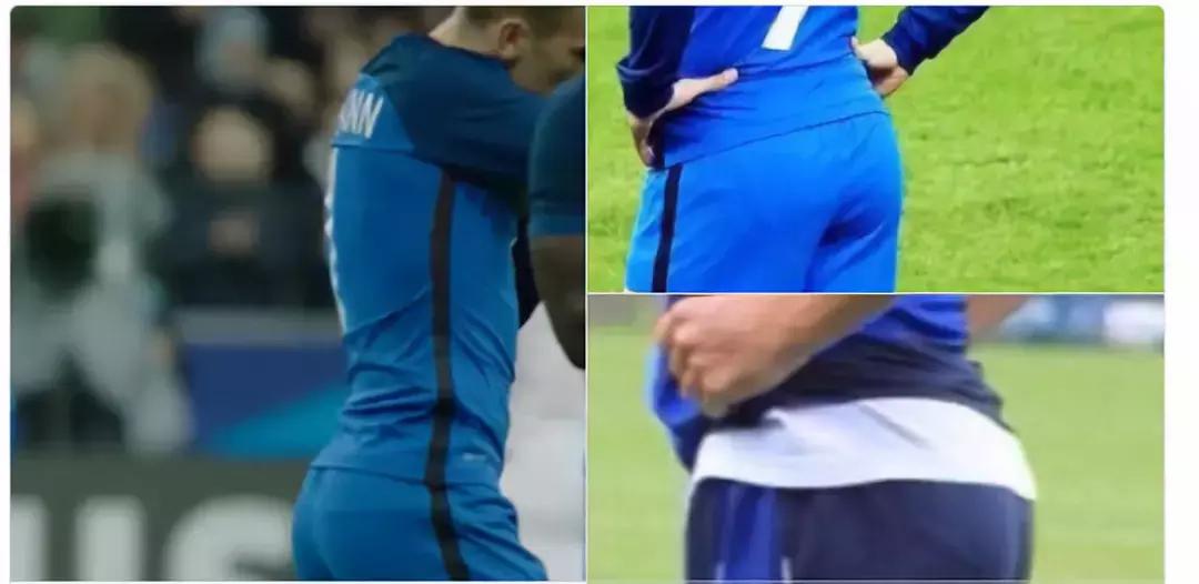 世界杯肉肉的仙人球,世界杯胖嘟嘟