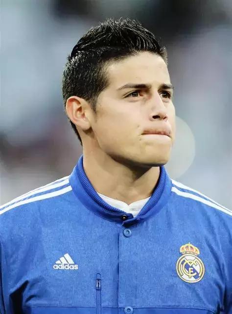 世界杯肉肉的仙人球,世界杯胖嘟嘟