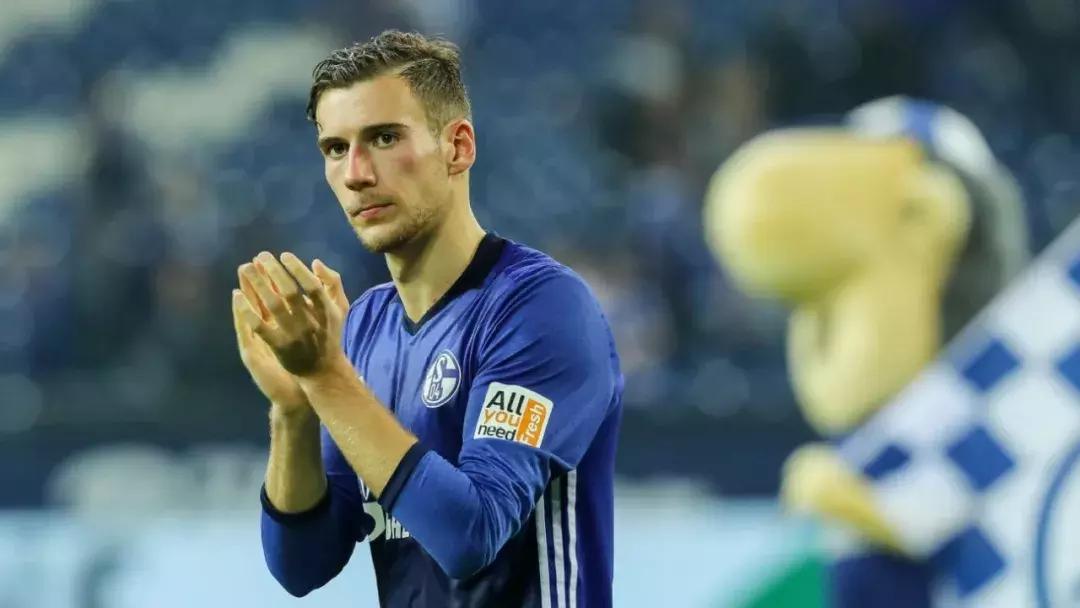 世界杯肉肉的仙人球,世界杯胖嘟嘟