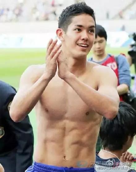 世界杯肉肉的仙人球,世界杯胖嘟嘟