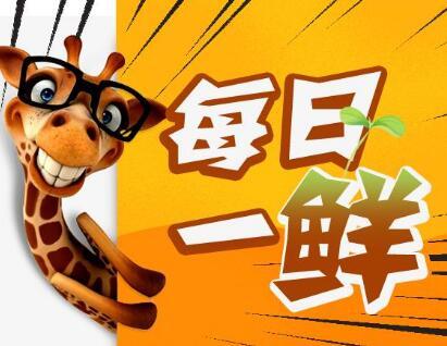 男生邀请奶奶走毕业红毯：她从小照顾我，最辛苦功劳最大