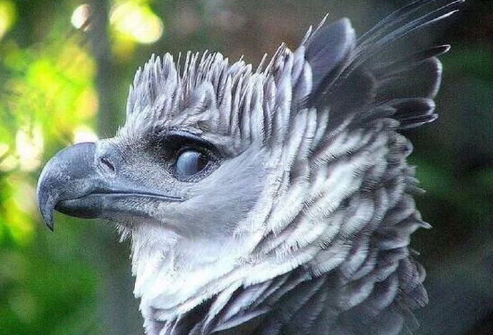 男生邀请奶奶走毕业红毯：她从小照顾我，最辛苦功劳最大