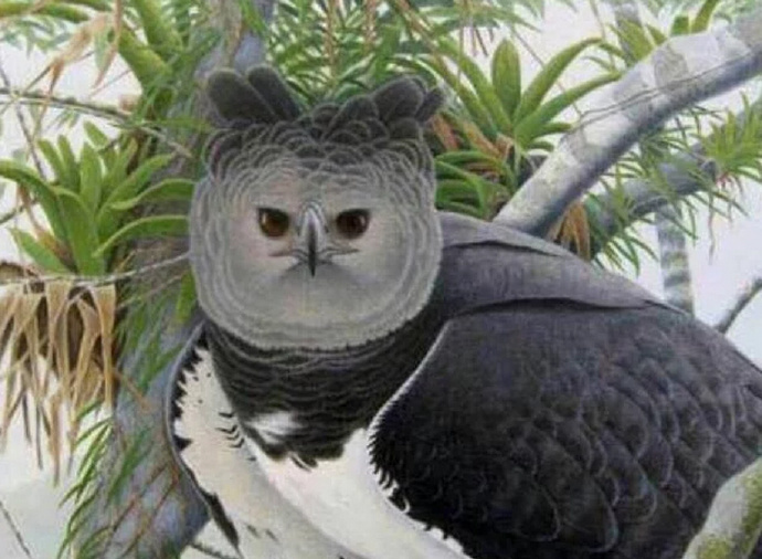 男生邀请奶奶走毕业红毯：她从小照顾我，最辛苦功劳最大