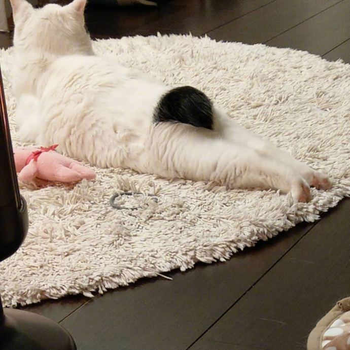 男生邀请奶奶走毕业红毯：她从小照顾我，最辛苦功劳最大