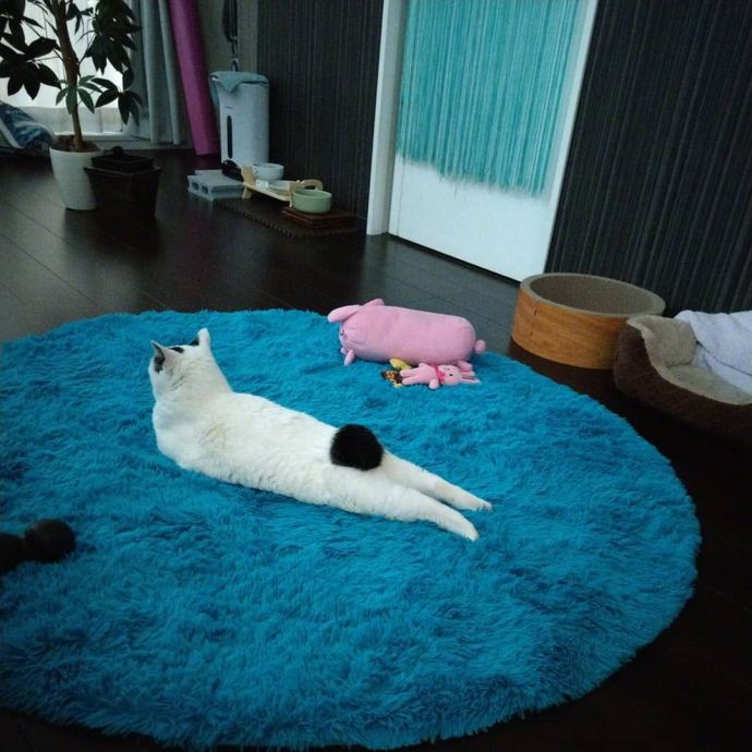 男生邀请奶奶走毕业红毯：她从小照顾我，最辛苦功劳最大