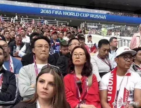 世界杯实时信息战报,世界杯实时通知