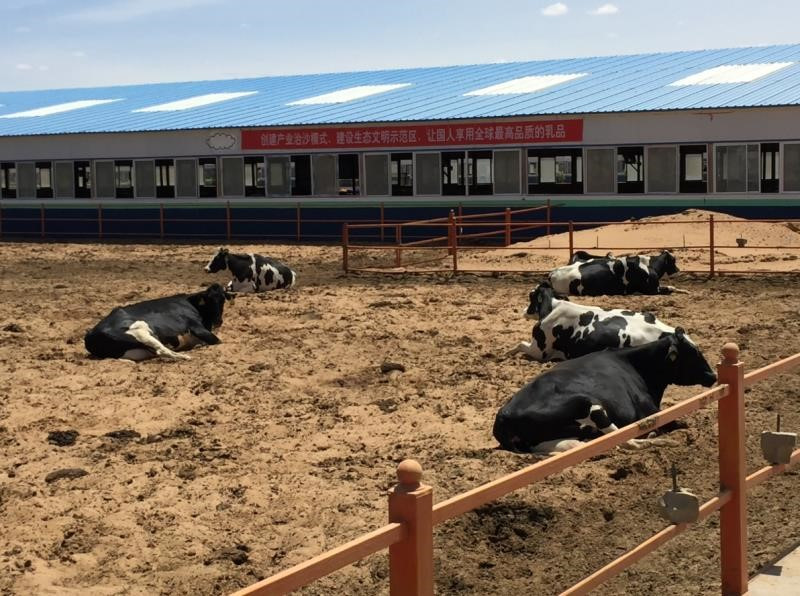 世界杯期间你所不知道的京东618：24小时不停机生产包火车送货